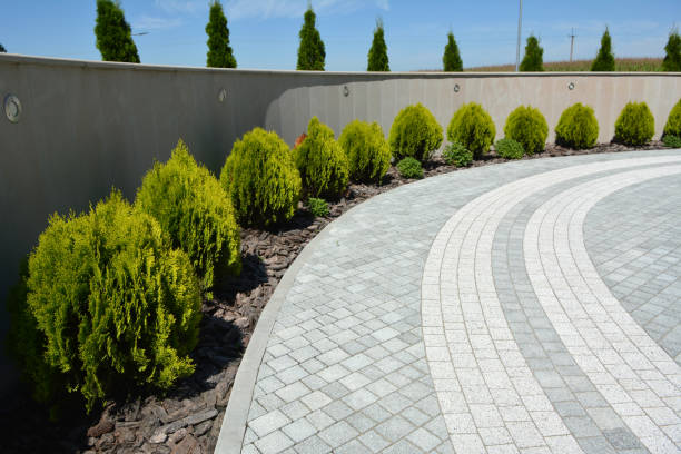 Best Commercial Driveway Pavers  in Toledo, IL